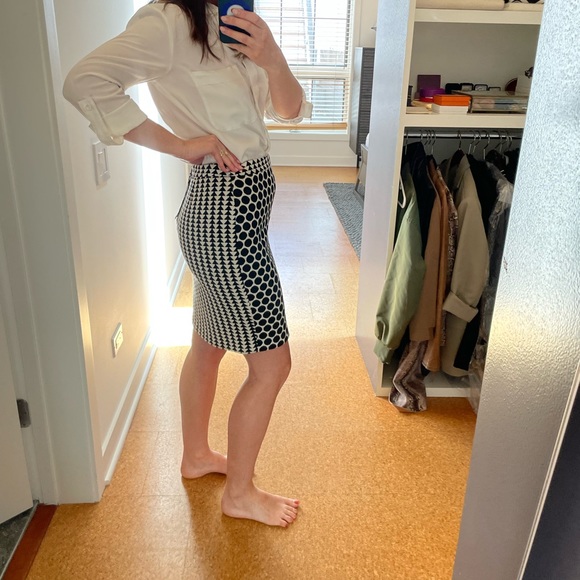 Anthropologie skirt by LEIFNOTES size 2 (good for petites) - Picture 2 of 7